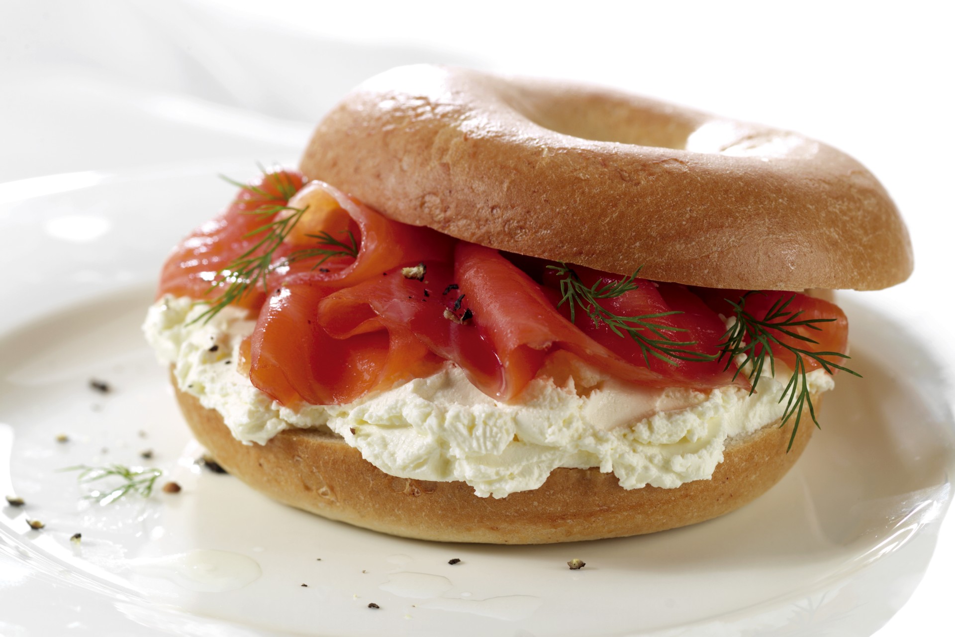 Bulk Buy Fully Baked Plain Bagels Wholesale KFF