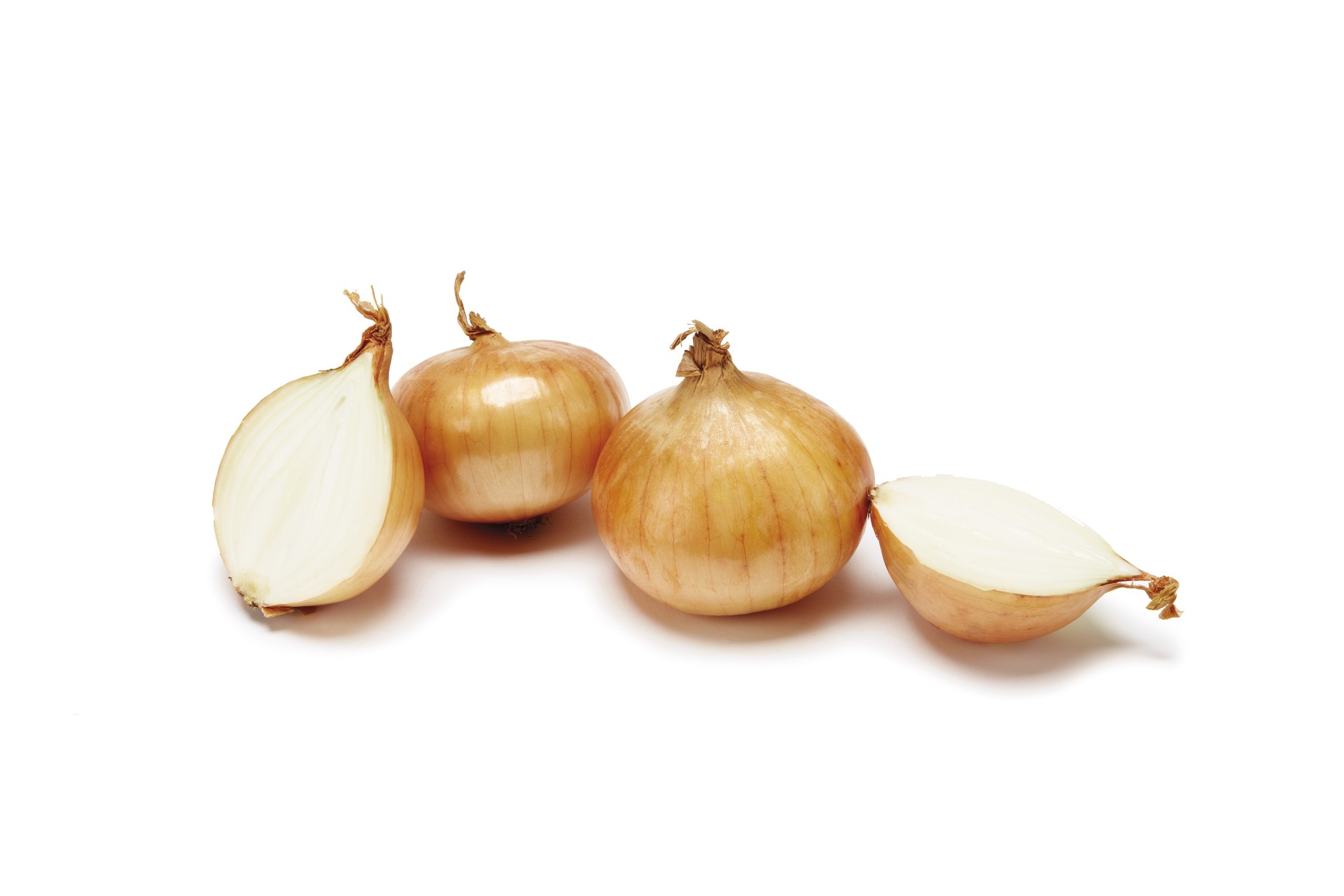 Bulk Buy Medium Onions Wholesale | KFF