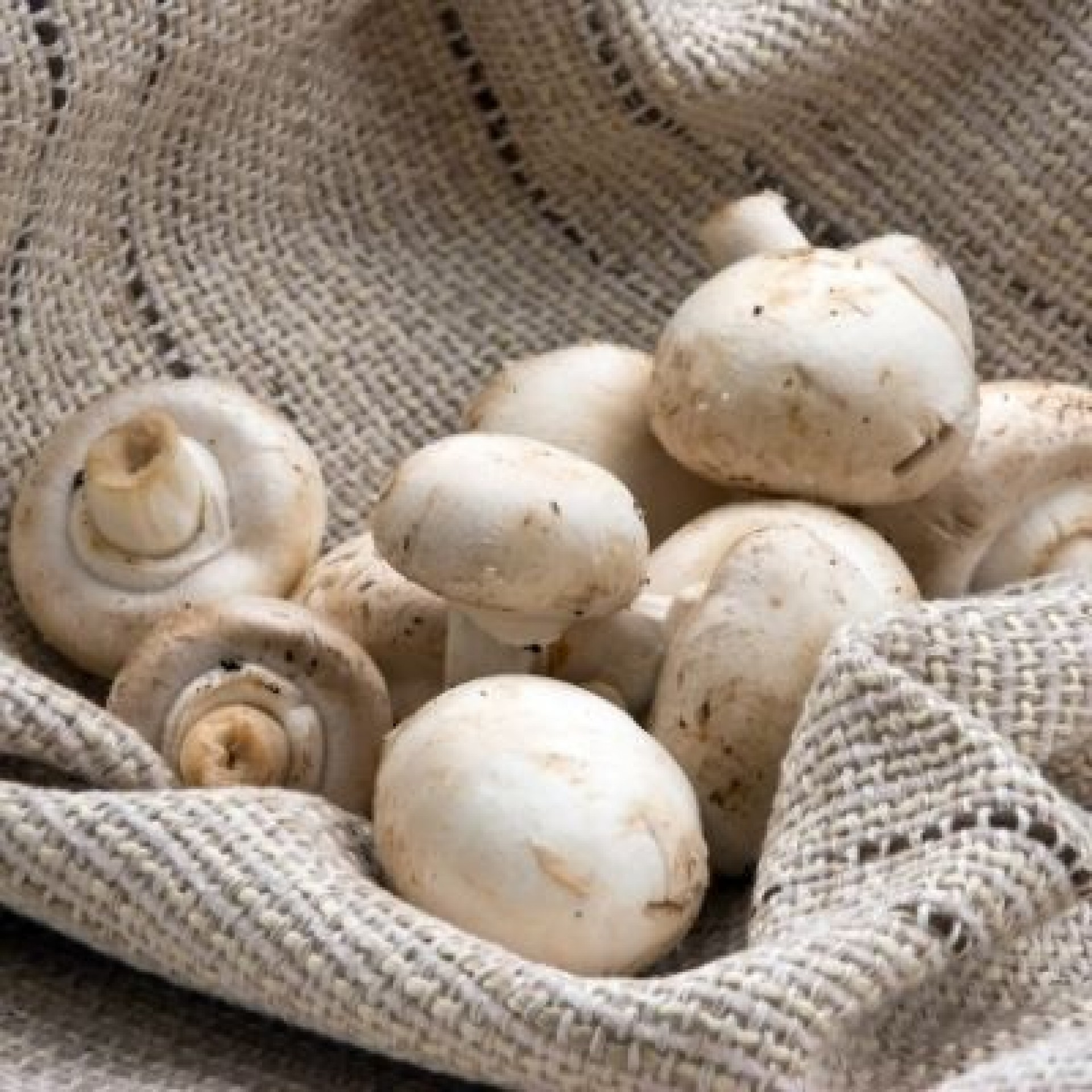 buy-closed-cup-mushrooms-shropshire-s-own