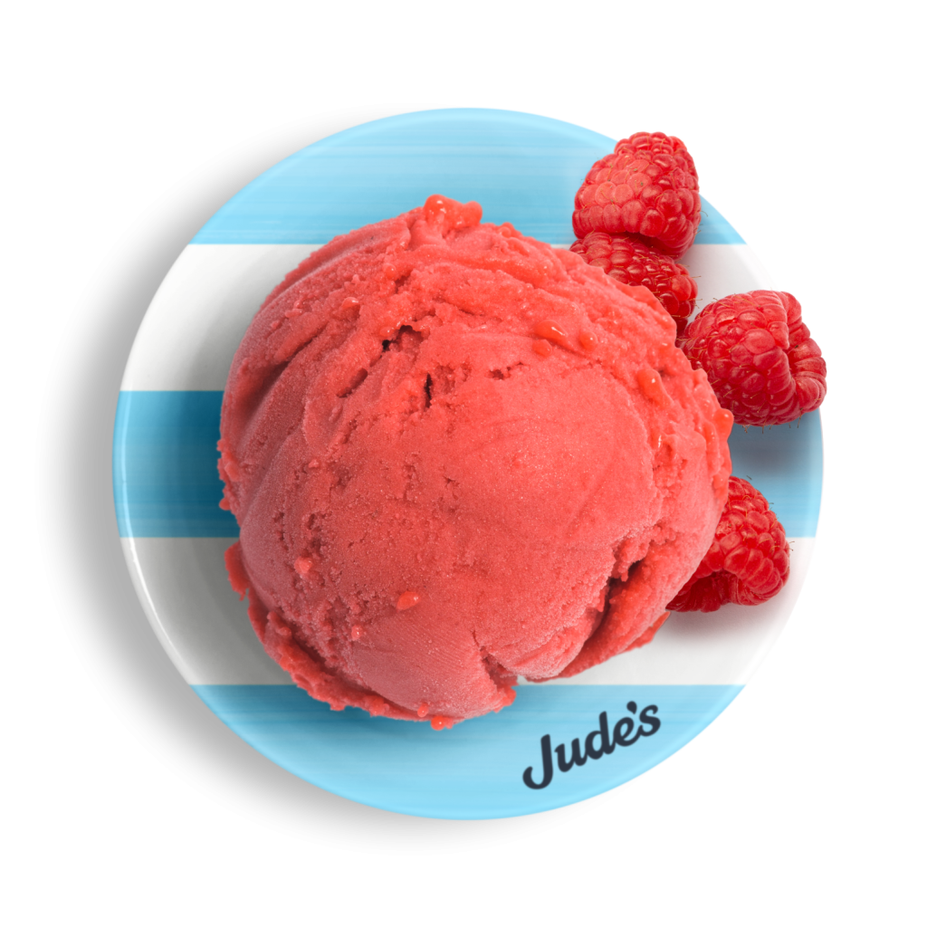 JUDE'S Raspberry Sorbet