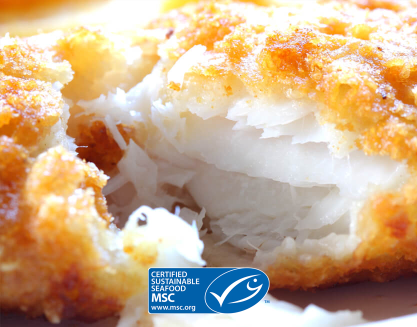 PACIFIC WEST Battered Haddock Fillets 140-170g