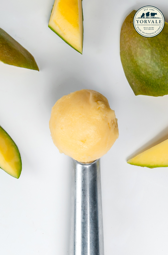 YORVALE Mango Sorbet