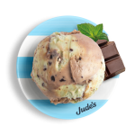 JUDE'S Vegan Mint Choc Chip Ice Cream