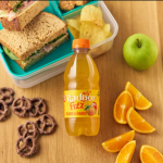 RADNOR Fizz Sparkling 45% Juice In Orange & Mango (Bottle)